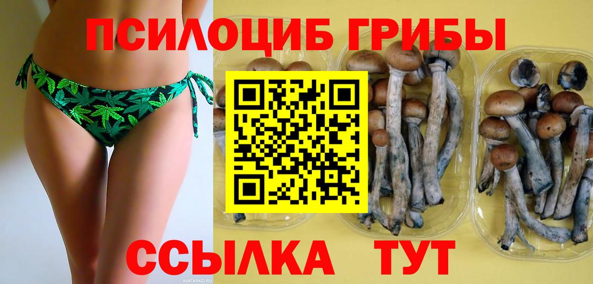 Ульяновск  Галлюциногенные грибы мицелий  Вход с VPN  Галлюциногенные грибы GOLDEN TEACHER 