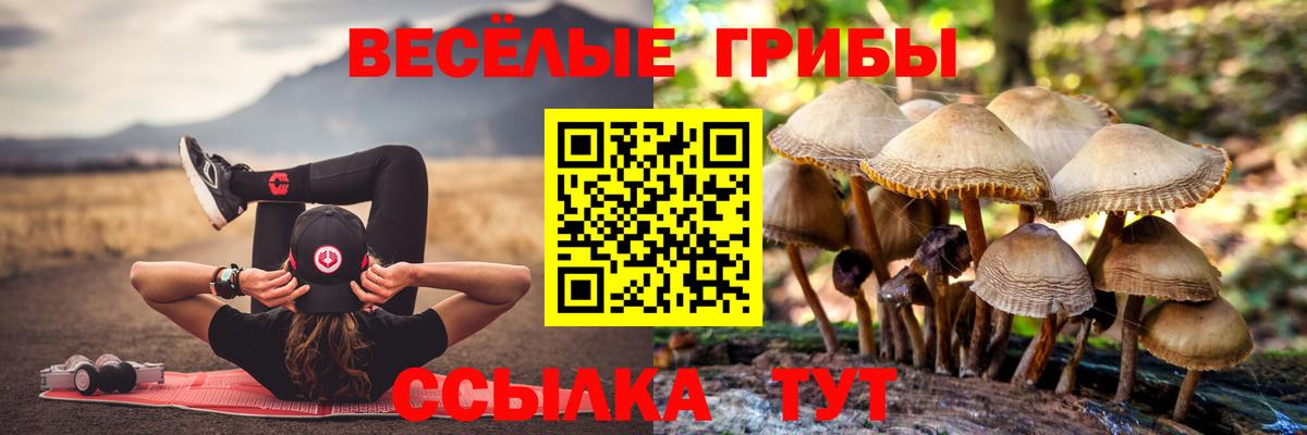 Галлюциногенные грибы прущие грибы Ульяновск